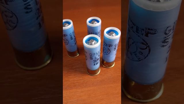 Старые патроны пуля 12 калибра которыми я пользуюсь до сих пор #охота #hunter #hunting смотреть онлайн