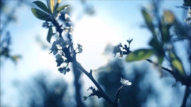 ♥... Ƹ̵̡Ӝ̵̨̄Ʒ ...♥ Letters - Abel Korzeniowski ♥... Ƹ̵̡Ӝ̵̨̄Ʒ ...♥beauty смотреть онлайн