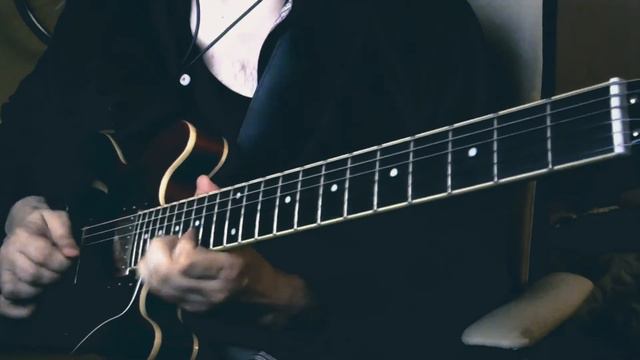 Pat Metheny - Half Life of Absolution - Live Version - last part смотреть онлайн