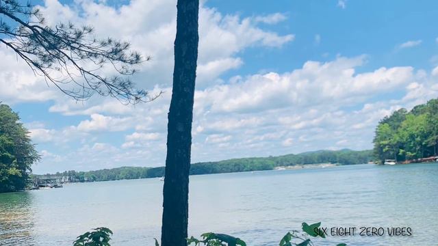 OLLEK ALII - DENNIS смотреть онлайн