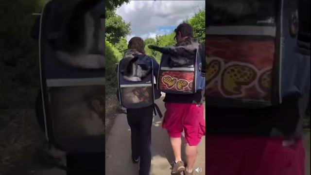 Устроить кипиш - легко смотреть онлайн