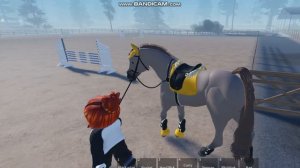 ROBLOX/Новая лошадь? Чуть не попрощалась с жизнью?
