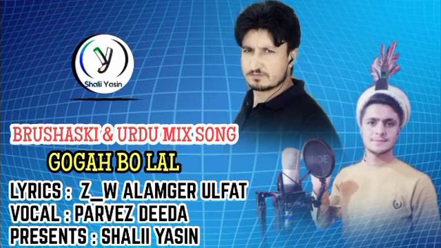 ~Brushaski & Urdu mix song ~By parvez Deeda смотреть онлайн