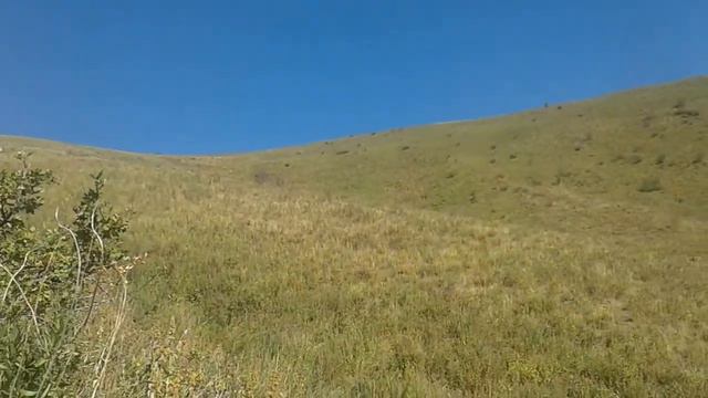 Кара сулук смотреть онлайн