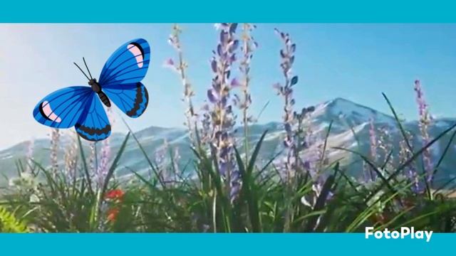 Исчезну я с лица земли . Иеромонах Роман ( Матюшин ) смотреть онлайн