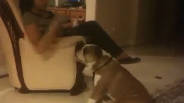 Buster eating Nictarin смотреть онлайн