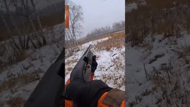 ОХОТА НА КОСУЛЮ. Здоровенный козел смотреть онлайн