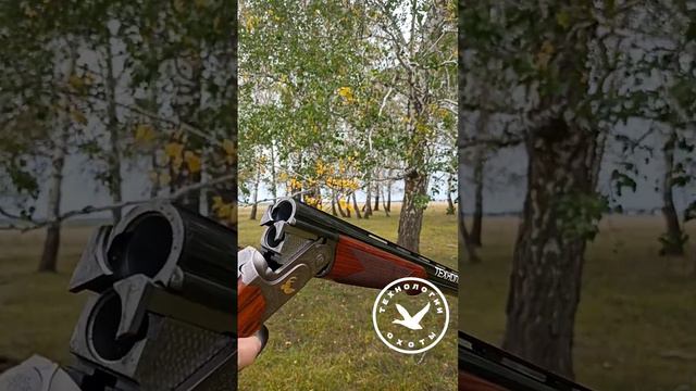 Самое красивое ружье для полевой охоты Caesar Guerini Tempio Light #оружие #hunter #охота #патроны смотреть онлайн