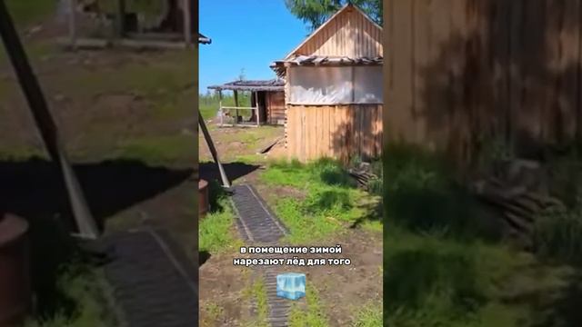 3 дня прожили на базе, где медведь-людоед съел сторожа смотреть онлайн