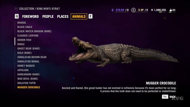 Far Cry 4 - All Animals | List Unlocked (PC HD) [1080p] смотреть онлайн