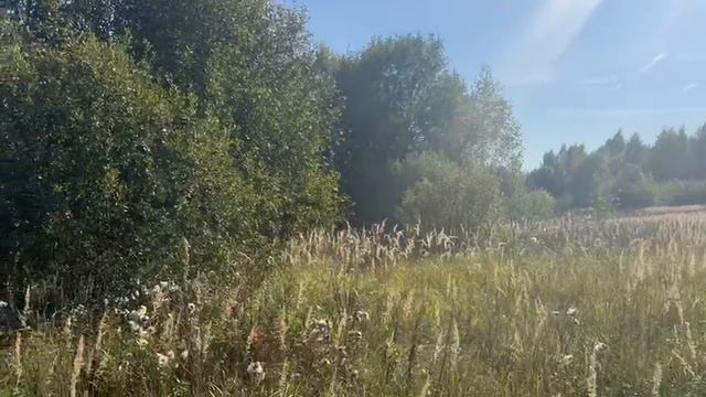 ВИДЕО 567 смотреть онлайн