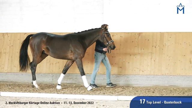 Tukur v. Top Level - Quaterback смотреть онлайн