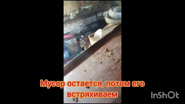Прокатка ягод от мусора. смотреть онлайн