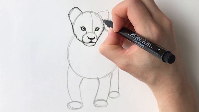 How to draw a lion cub like Simba from the Lion King смотреть онлайн
