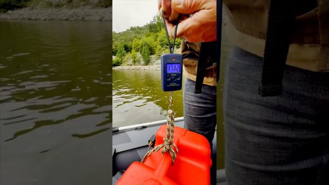 Какой расход у груженой лодки с мотором 9.9 л.с.? смотреть онлайн