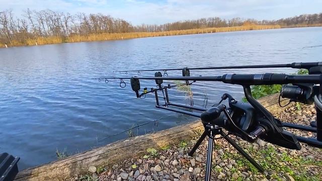 ТАКОЕ НА РЫБАЛКЕ МОЖЕТ БЫТЬ ТОЛЬКО У МЕНЯ! Рыбалка на карповую удочку