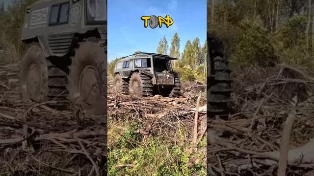 Прохождение лесного завла Бро гибрид на дистанционном управлении смотреть онлайн