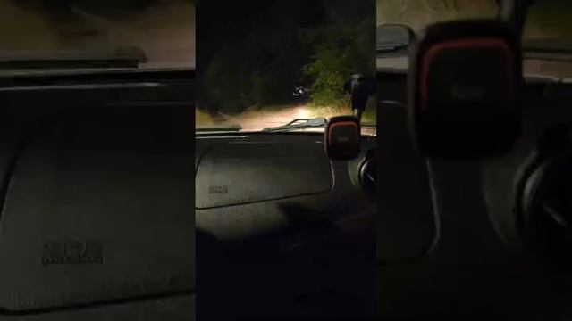 09.07.24 Катаемся смотреть онлайн