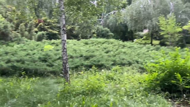 ВЛОГ: Наш отпуск - 10 дней за 20 минут! Воронеж-Донецк) Донецкий аквапарк AQUASFERRA!!! смотреть онлайн