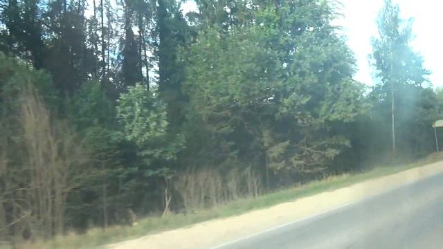 Руза, автобус 26_21, участок Автостанция Руза - Станция Тучково