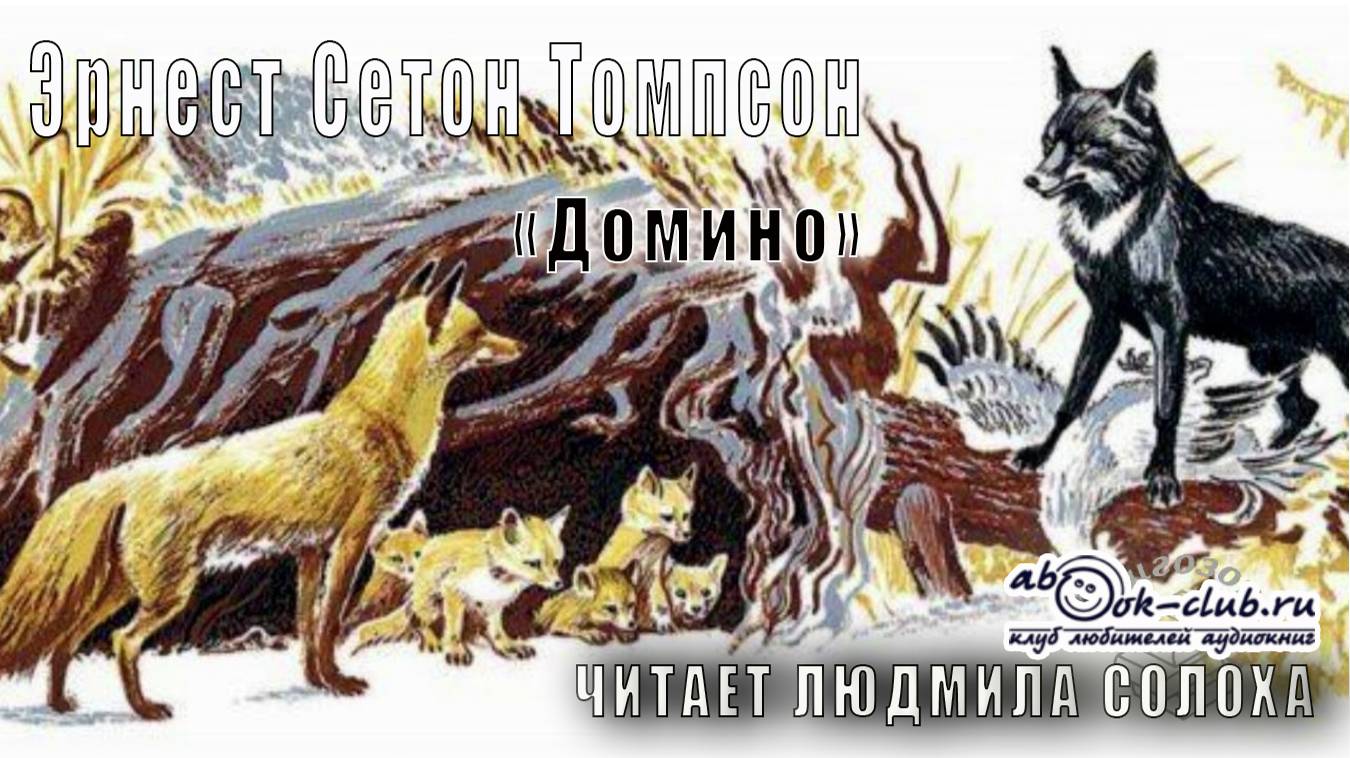 Эрнест Сетон Томпсон "Домино" (аудиорассказ) смотреть онлайн
