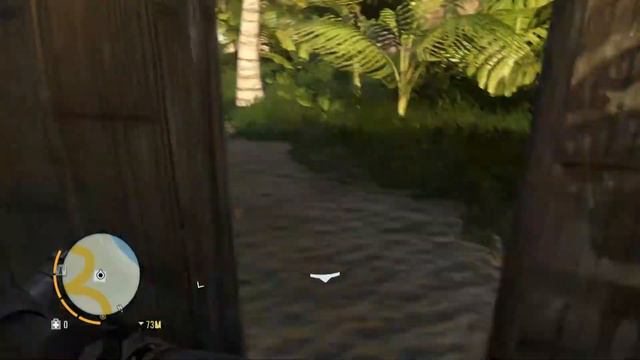 Прохождения 6 часть ( Информатор ) Far Cry 3 от Dimana смотреть онлайн