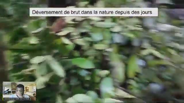 ACTUALITÉS POLITIQUE ET ÉCONOMIQUE DU GABON смотреть онлайн
