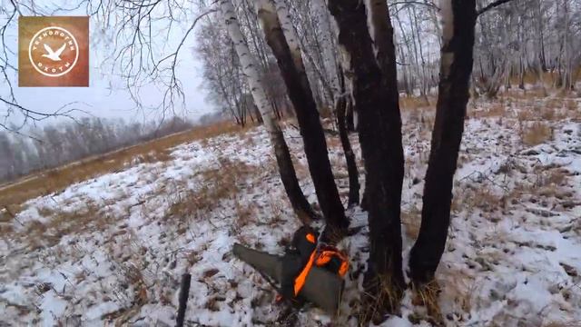 ЗАГОННАЯ ОХОТА НА КОСУЛЮ 2022. ▶️ Загон полная версия. смотреть онлайн