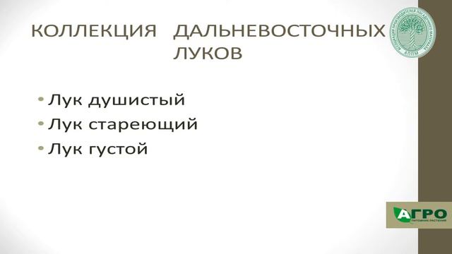 Дальневосточные растения в ассортименте питомника «АГРО» смотреть онлайн