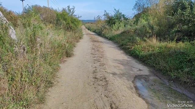 Спасение маленькой змейки