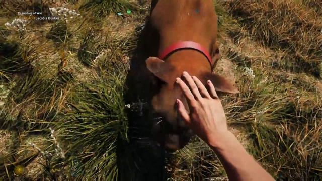 Far cry 5 смотреть онлайн