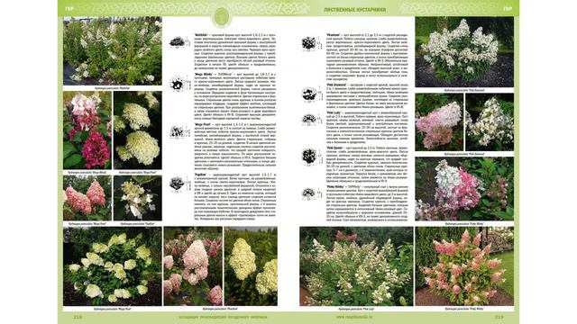 Знакомьтесь, АППМ !