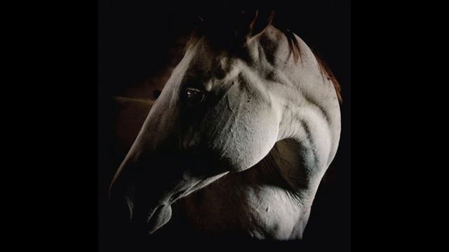 09 The River | How to Kill a Horse | Brother Dege смотреть онлайн