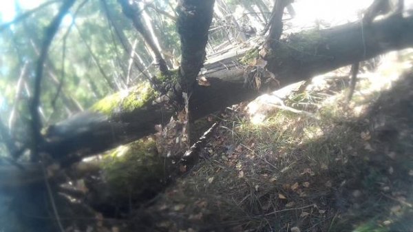 2014_0206_145007_006