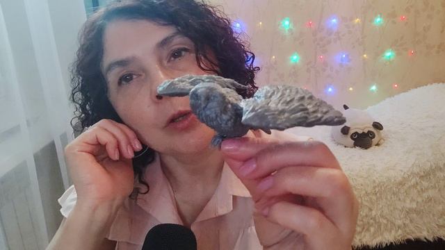 АСМР Увлечения моего мужа, часть 5. Как я реагирую на хейт. смотреть онлайн