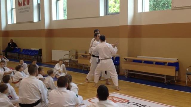 Traditional Karate: Avi Rokah 7th Dan & Giedrius Dranevičius 5th Dan смотреть онлайн