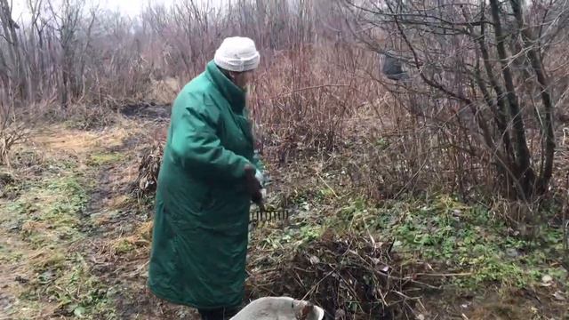 Деревня январь 2018 смотреть онлайн