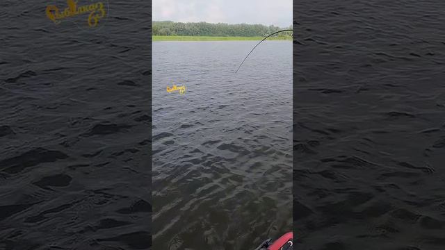 Хороший жерех смотреть онлайн