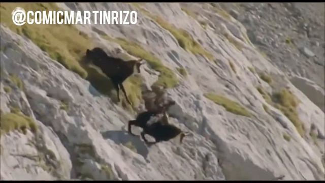 The cholo nature show смотреть онлайн