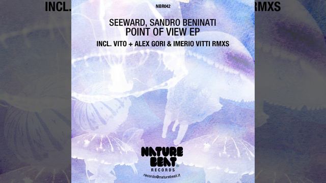 Point of view - Alex Gori & Imerio Vitti remix - Seeward, Sandro Beninati - Nature Beat Records смотреть онлайн