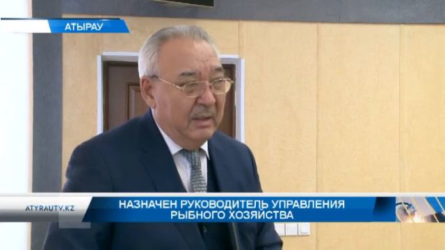 Назначен руководитель управления рыбного хозяйства смотреть онлайн