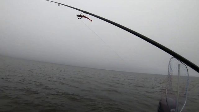 Осенняя рыбалка на Ладоге. Ловля окуня на джиг. Тест и выбор спиннинга для ловли окуня на джиг. смотреть онлайн