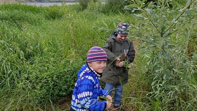 Захарка понтует смотреть онлайн