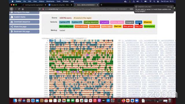 Ensembl Genome Browser Workshop- Session 2 смотреть онлайн