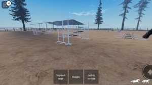 день на конюшне?!