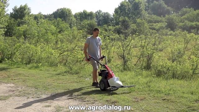 Сенокосилка Eurosystems MINIEFFE B&S 450 E