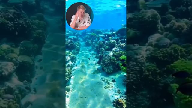 Баг В Сгенерированном ИИ Видео! А Вы Заметили? смотреть онлайн