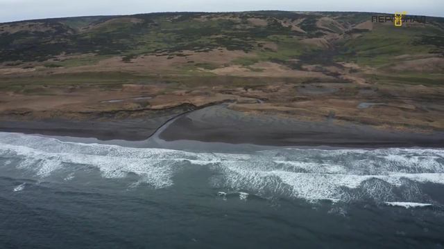 -1015541422649743625