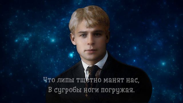 Какая ночь - Сергей Есенин (читает Александр Злищев) #есенин #поэзия #стихи смотреть онлайн