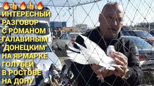 Интересный разговор с Романом Галавиным "Донецким" на ярмарке голубей в Ростове на Дону. 🔥👍🔥👍🔥